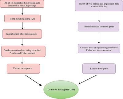 Integrative Systems Biology Analysis Elucidates Mastitis Disease Underlying Functional Modules in Dairy Cattle